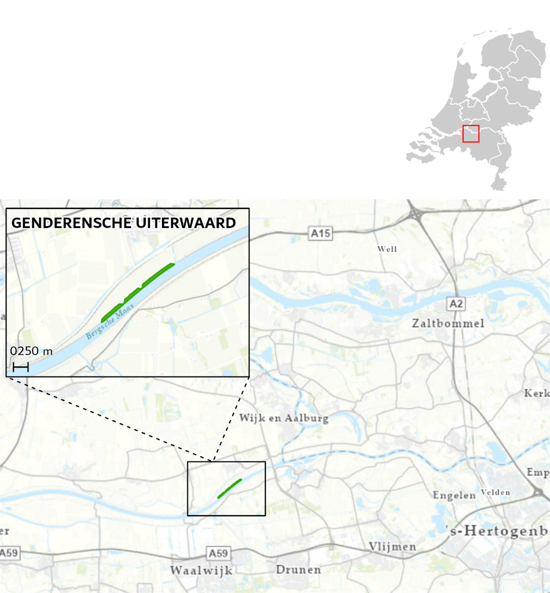 Kaart de ligging van het maatregelgebied Genderensche uiterwaard langs de Bergsche Maas aangegeven door middel van een groen vlak.